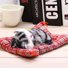 Stuffed Toys Lovely Simulation Animal Doll Plush Sleeping Cats Toy with Sound Kids Toy Decorations Birthday Gift For Children - susshine
