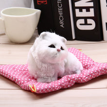 Stuffed Toys Lovely Simulation Animal Doll Plush Sleeping Cats Toy with Sound Kids Toy Decorations Birthday Gift For Children - susshine