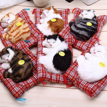 Stuffed Toys Lovely Simulation Animal Doll Plush Sleeping Cats Toy with Sound Kids Toy Decorations Birthday Gift For Children - susshine