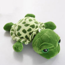Tronzo 20cm Super Green Big Eyes Stuffed Tortoise Turtle Animal Plush Baby Toy Birthday/Christmas Gift  For Kids Dropshipping - susshine