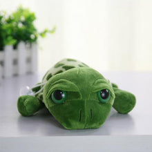 Tronzo 20cm Super Green Big Eyes Stuffed Tortoise Turtle Animal Plush Baby Toy Birthday/Christmas Gift  For Kids Dropshipping - susshine